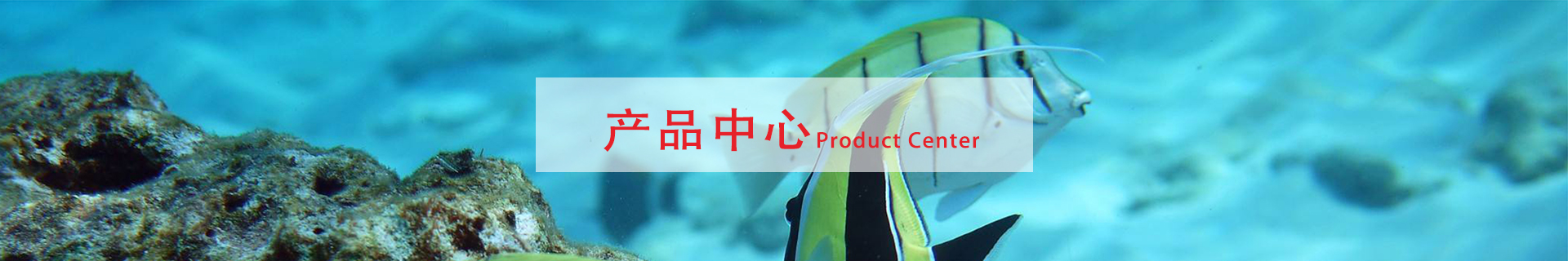 产品中心
